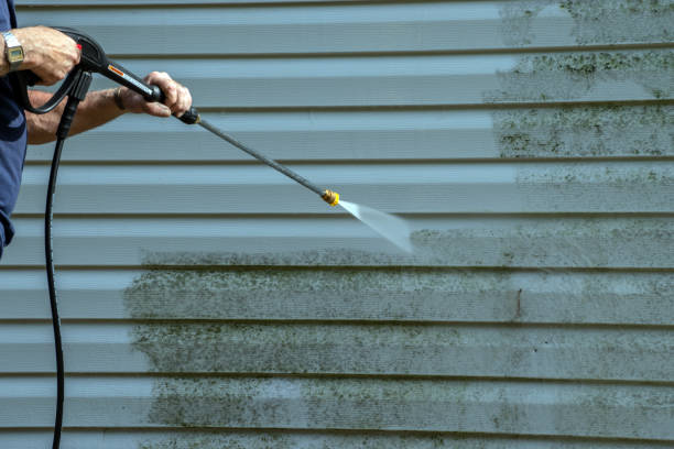 Best Building Exterior Washing  in Elwood, IL